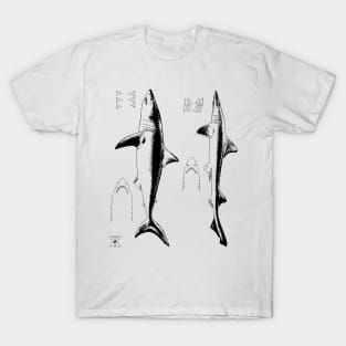 Great White Shark & Mako | Ocean Sea Animal Science T-Shirt